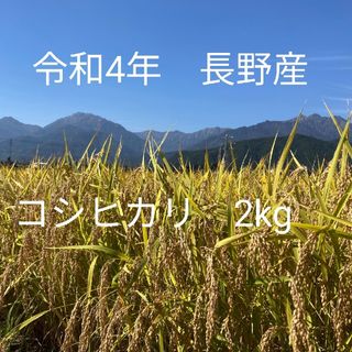 令和4年長野産コシヒカリ　ゆうパケットポスト箱込みで2kg(米/穀物)