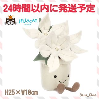 ジェリーキャット(JELLY CAT)の新品　ジェリーキャット　ポインセチア　ぬいぐるみ　クリスマス　花　植物　観葉植物(ぬいぐるみ)