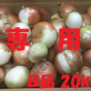 masa様専用②　北海道産タマネギ　Ｂ品　20kg　農家直送(野菜)