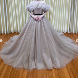 優雅なシルエット カラードレス グレー オフショルダー トレーン 編み上げ 花嫁(ウェディングドレス)