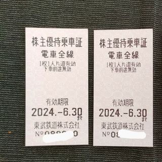 東武鉄道株主優待乗車券　2枚組　匿名発送　24.6.30迄(鉄道乗車券)