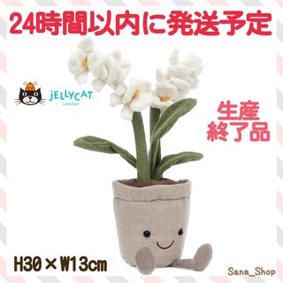 ジェリーキャット(JELLY CAT)の新品 タグ付き ジェリーキャット　蘭　白蘭　ぬいぐるみ　花　ラン　胡蝶蘭　植物(ぬいぐるみ)