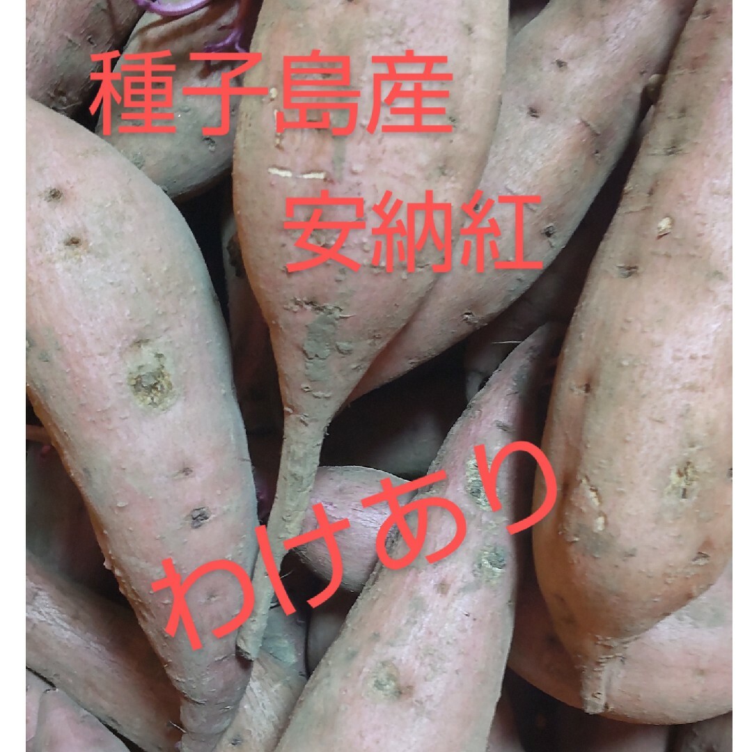 わけあり　種子島産安納紅2S~Lサイズ混合10キロ 食品/飲料/酒の食品(野菜)の商品写真