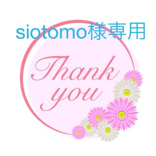 siotomo様専用 (その他)