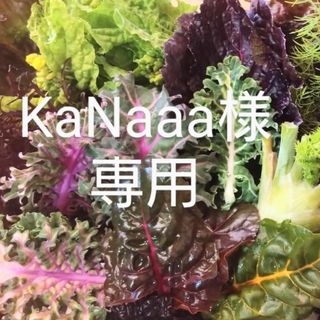 KaNaaa様専用(野菜)