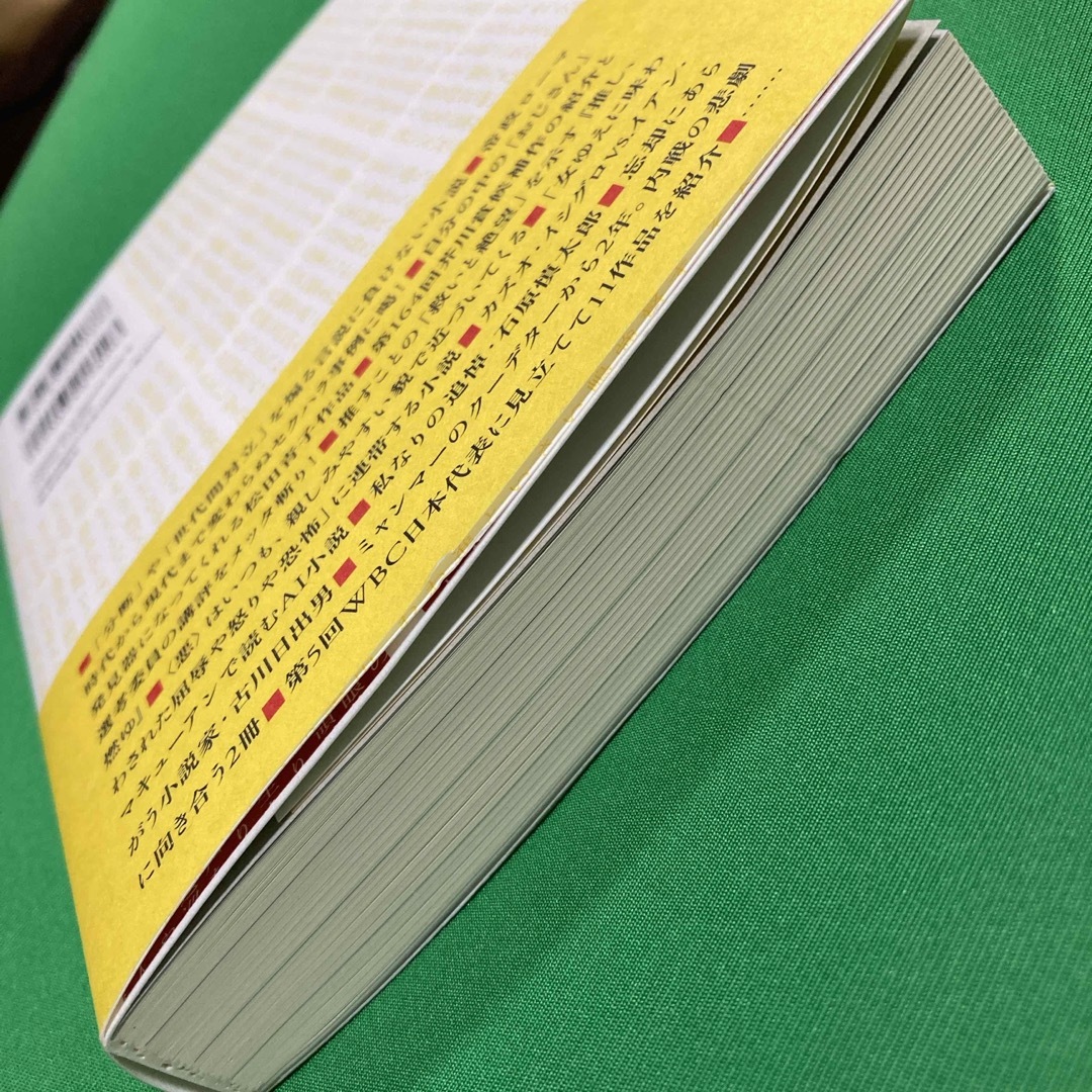 時評書評　豊﨑由美　 エンタメ/ホビーの本(その他)の商品写真