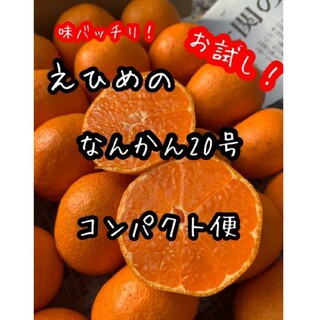 愛媛県産　南柑20号みかん　コンパクト便　柑橘　ミカン(フルーツ)