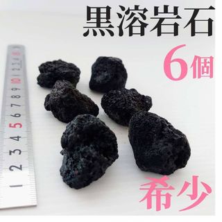 【希少】黒溶岩石 6個【中粒】☆アクアリウム、テラリウム、コケリウムに最適(アクアリウム)