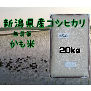 令和3年香川県産コシヒカリ玄米20キロ減農薬食品