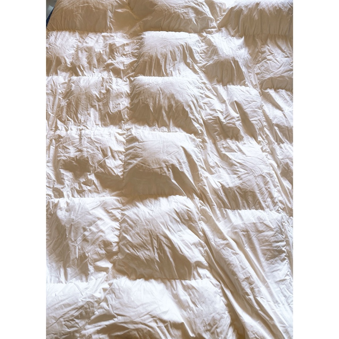 ニトリ(ニトリ)のニトリ　消臭羽毛布団　S142 セミダブル インテリア/住まい/日用品の寝具(布団)の商品写真