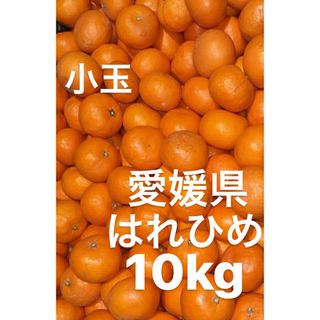 愛媛県産　はれひめ　みかん　10kg(フルーツ)