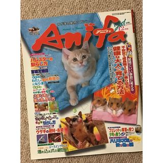 アニファ 2002年12月号(その他)