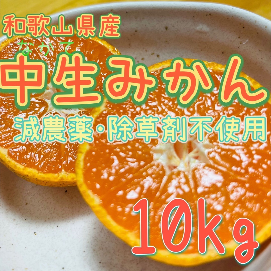 減農薬 中生みかん【10kg】和歌山県産 食品/飲料/酒の食品(フルーツ)の商品写真