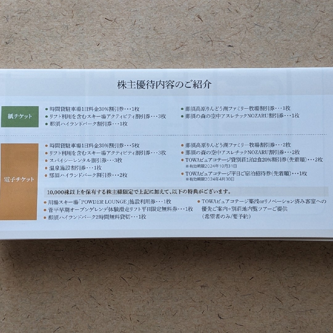 日本駐車場開発 株主優待券 紙チケット1セット チケットの施設利用券(スキー場)の商品写真
