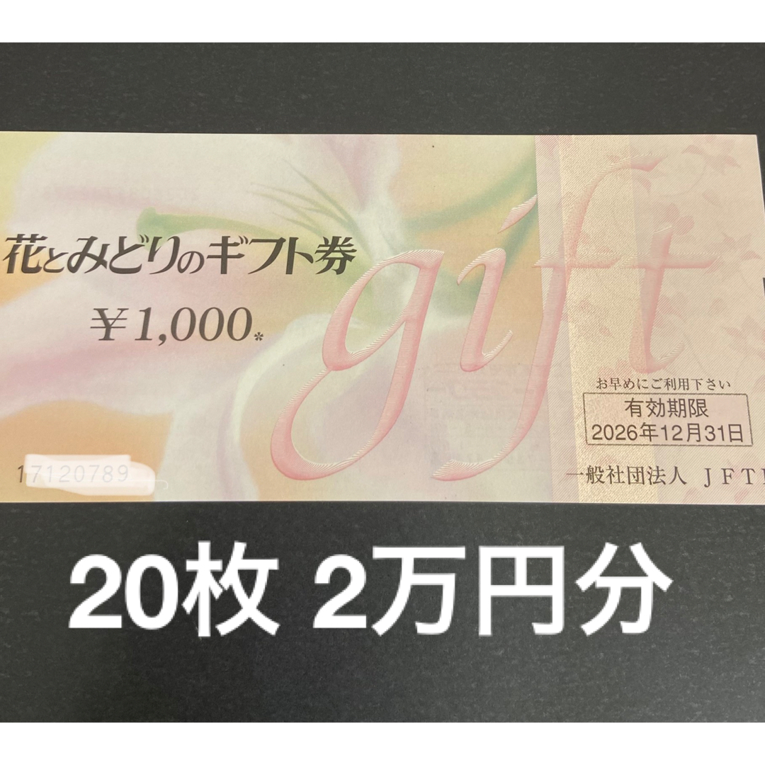 優待券/割引券2万円分　花とみどりのギフト券　1,000円x20枚