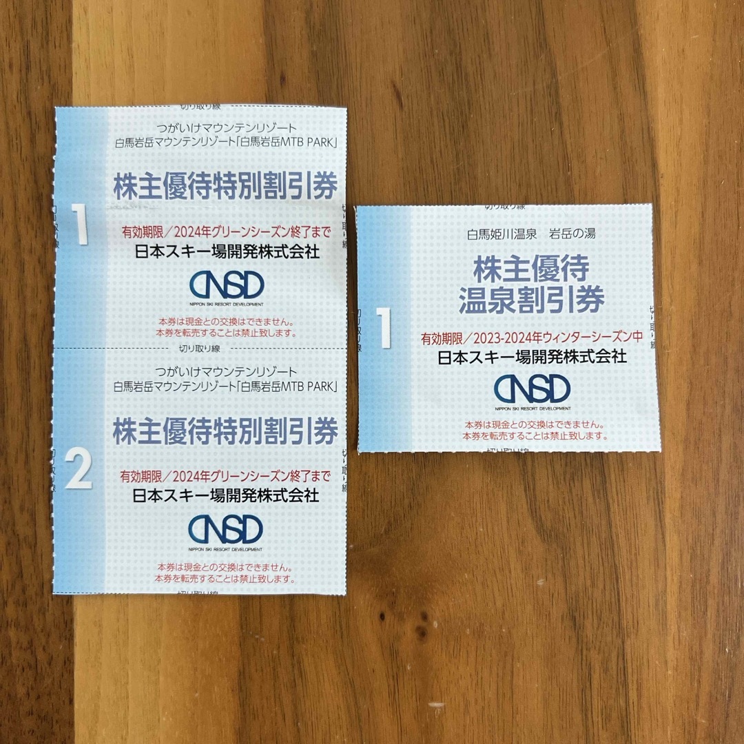 つがいけ　白馬岩岳マウンテンリゾート　2枚　白馬姫川温泉岩岳の湯　割引券 チケットの施設利用券(スキー場)の商品写真