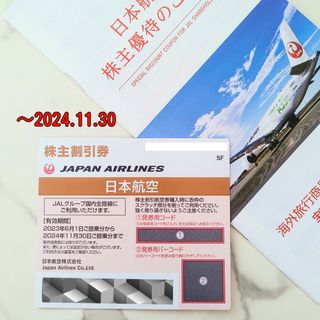 ジャル(ニホンコウクウ)(JAL(日本航空))のJAL 株主優待券《1枚》2024.11.30 期限　日本航空　割引券(その他)