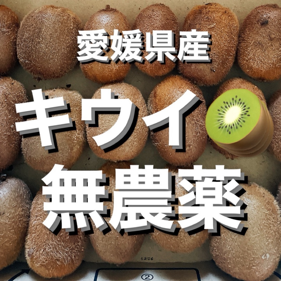 【農家直送】無農薬栽培　キウイフルーツ　箱込み1kg(18〜20コ程度) 食品/飲料/酒の食品(フルーツ)の商品写真