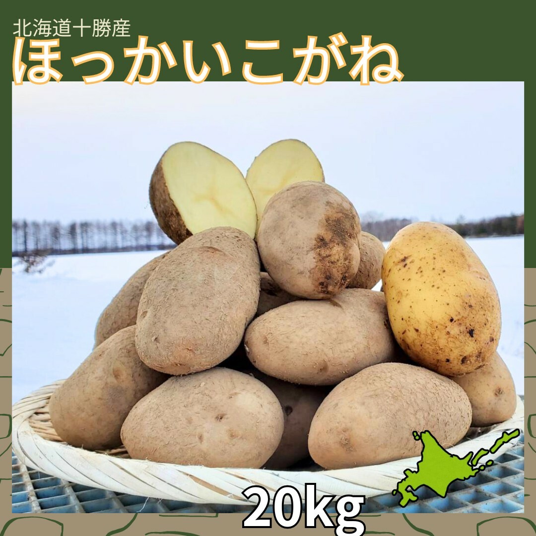 【備蓄】【20kg】北海道産　じゃがいも　ほっかいこがね 食品/飲料/酒の食品(野菜)の商品写真