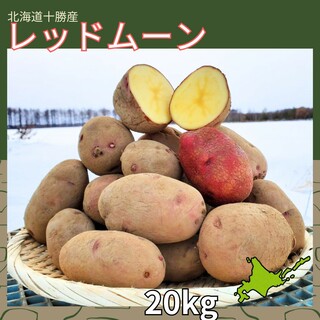 【備蓄】【20kg】北海道産　じゃがいも　レッドムーン(野菜)
