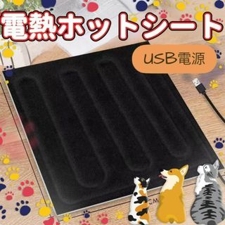 USB ヒーター 電気 パッド ペット  ホット  マット 30cm×30cm(その他)