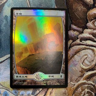 マジックザギャザリング(マジック：ザ・ギャザリング)の【MTG】平地　foil(シングルカード)