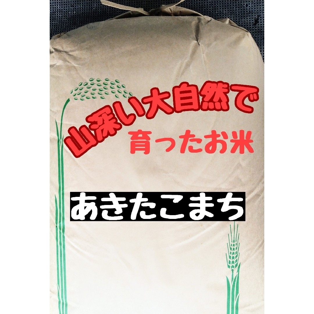 広島県産あきたこまち精米27kg(令和5年産)令和5年産 - 米/穀物