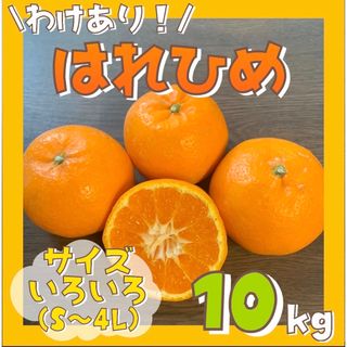 訳あり！和歌山県産 はれひめ 10kg サイズ混合 有田みかん ミカン フルーツ(フルーツ)