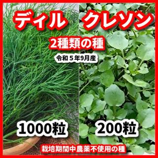 ディル＆クレソンの種【2種類セット】★栽培期間中農薬不使用の種(その他)