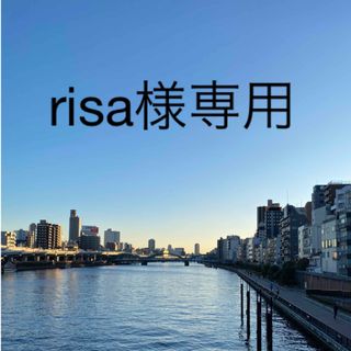 risa様専用品です。画像の硝子皿2枚(食器)