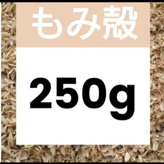 令和5年 もみ殻 籾殻  250g  北海道産 農家直送 お試し 即購入大歓迎6(プランター)