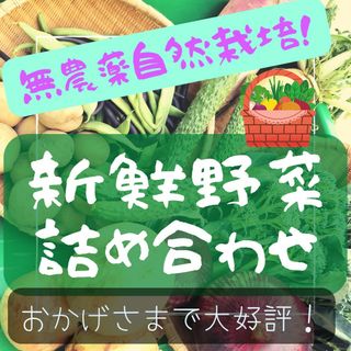 農家直売！野菜詰め合わせ100サイズ(野菜)