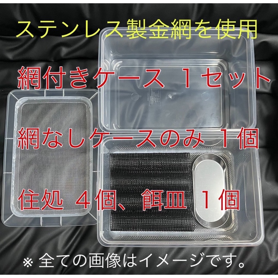 ステンレス金網 デュビア コオロギ レッドローチ 飼育ケース 飼育ケージ 【中】 その他のペット用品(爬虫類/両生類用品)の商品写真