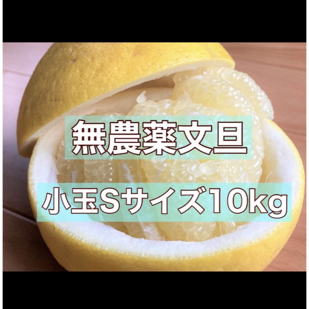 【自然栽培】高知県産　文旦Sサイズ　10kg 食品/飲料/酒の食品(フルーツ)の商品写真