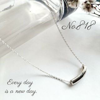 silver.華奢チェーン.   handmade necklace(ネックレス)