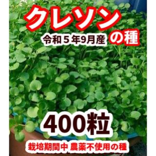 クレソンの種【400粒】◾️栽培期間中農薬不使用の種(野菜)