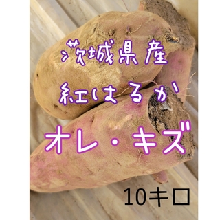 折れ・キズ紅はるか　10キロ　茨城県産　栽培中農薬不使用(野菜)