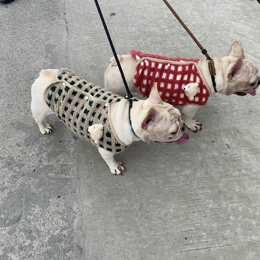 【色: オレンジ】ICOUCHI ふわふわ 犬服 秋冬 小中型犬 あたたかい コ その他のその他(その他)の商品写真