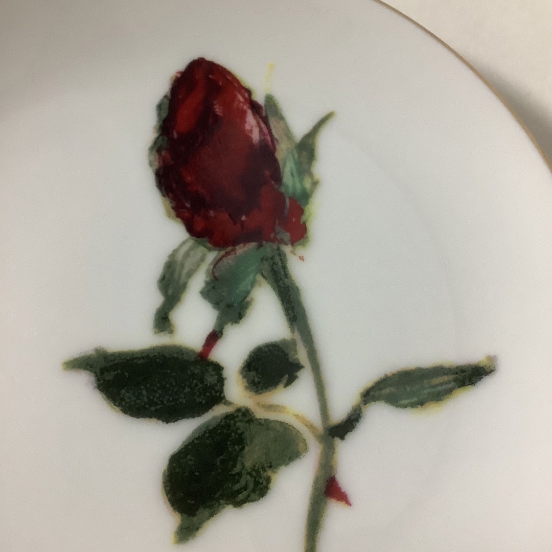NARUMI - ナルミ NARUMI 銘々皿 ケーキ皿 薔薇 黄色 赤 金彩 4枚 NARUMI - ナルミ NARUMI 銘々皿 ケーキ皿 薔薇 黄色 赤 金彩 4枚