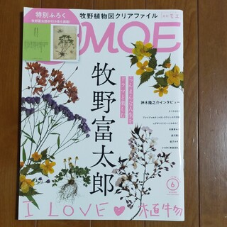 MOE (モエ) 2023年 06月号 [雑誌](アート/エンタメ/ホビー)