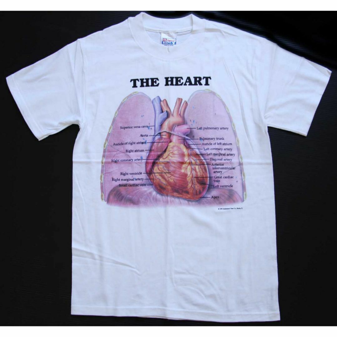 ご検討よろしくお願いします【special】ヴィンテージ anatomical 解剖図 心臓 tシャツ