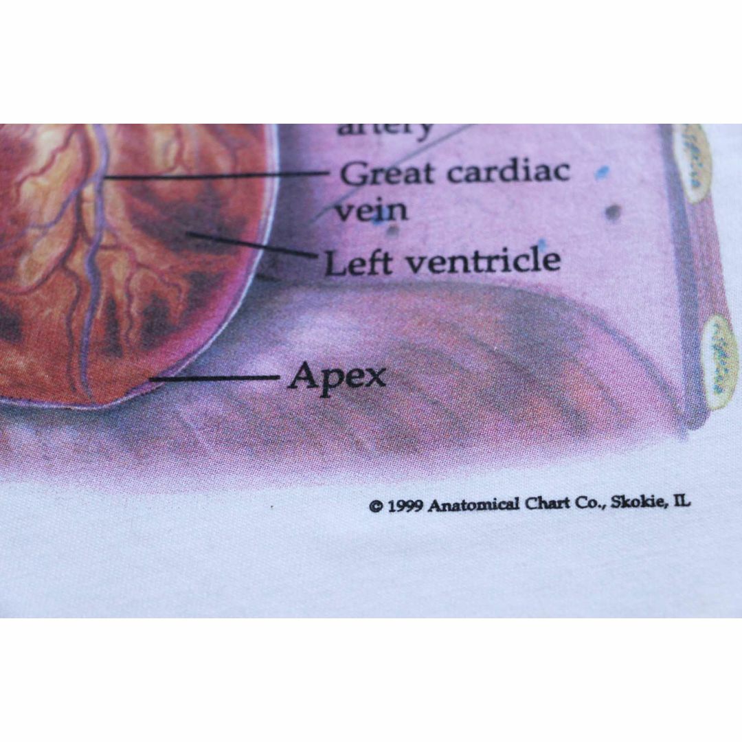ご検討よろしくお願いします【special】ヴィンテージ anatomical 解剖図 心臓 tシャツ