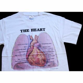 ヘインズ(Hanes)のデッドストック★90s Hanes Anatomical Chart Co. THE HEART 人体 臓器 心臓 コットンTシャツ 白 S★オールド ビンテージ 内蔵 解剖図(Tシャツ/カットソー(半袖/袖なし))