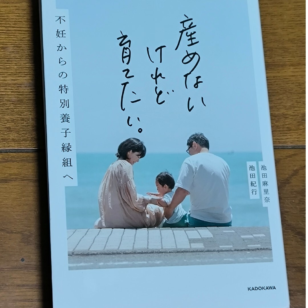 産めないけれど育てたい。 エンタメ/ホビーの本(文学/小説)の商品写真