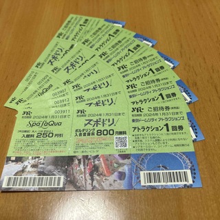 値下❗️後楽園東京ドームシティアトラクションチケット6枚期限2024/1/31(遊園地/テーマパーク)