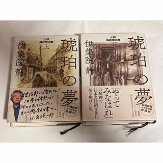 琥珀の夢　上下/ 伊集院静(文学/小説)