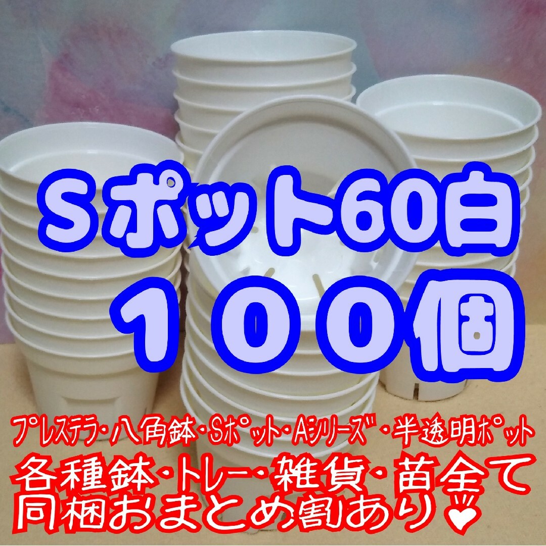 《Sポット60》白100個 スリット鉢 プラ鉢 2号鉢相当 多肉植物 プレステラ ハンドメイドのフラワー/ガーデン(プランター)の商品写真