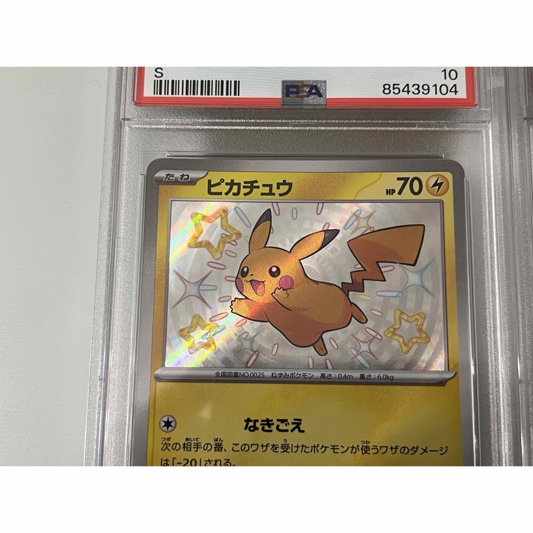 PSA10】連番！ピカチュウs ライチュウsフウロ - www.airkingfiltration.com