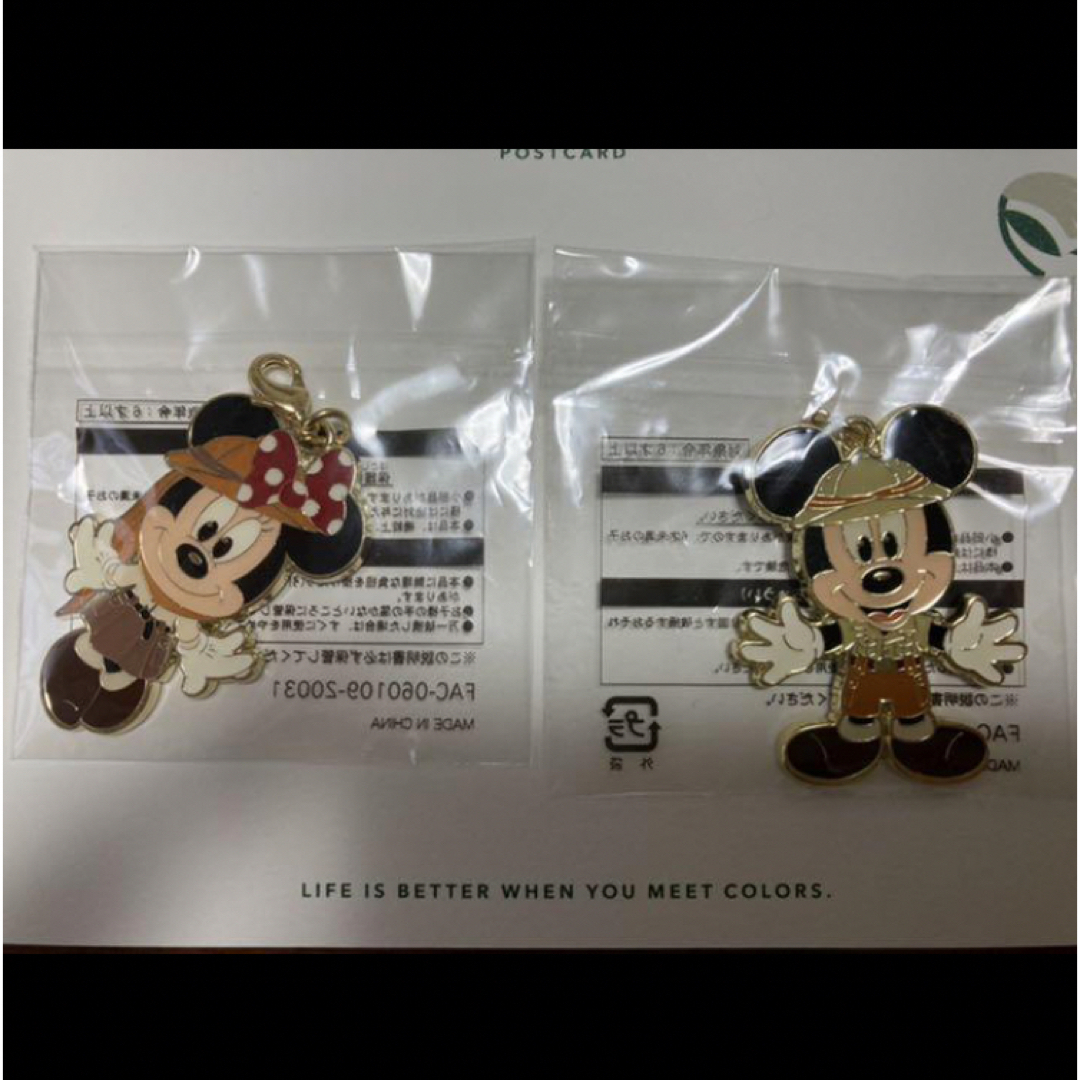 Disney(ディズニー)のディズニーランド　景品　キーホルダー エンタメ/ホビーのおもちゃ/ぬいぐるみ(キャラクターグッズ)の商品写真