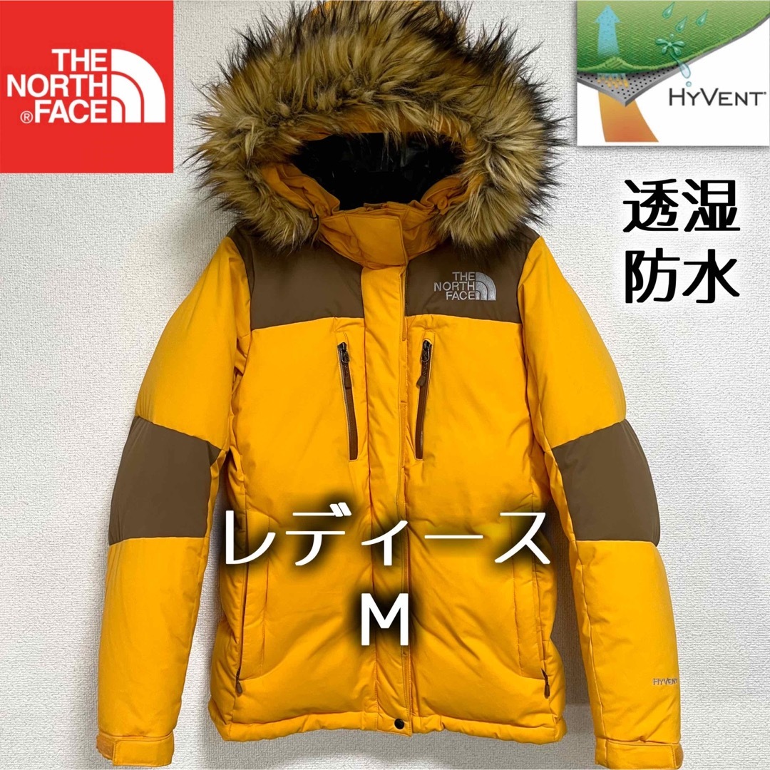 THE NORTH FACE - 美品!海外限定 ノースフェイス バルトロライト ...